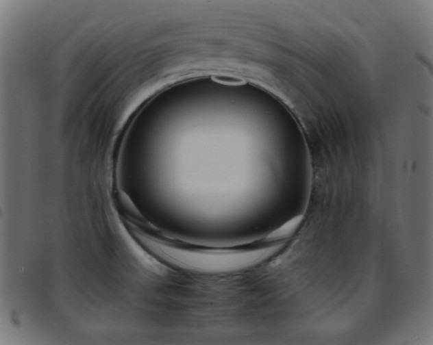 X0000097781523200803071338