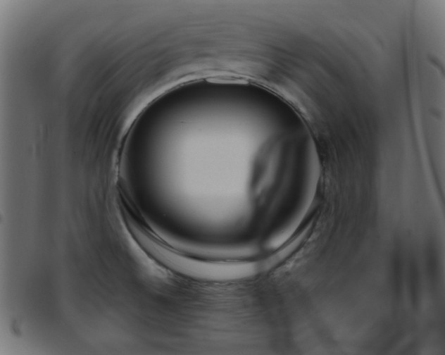 X0000097781524200803071338