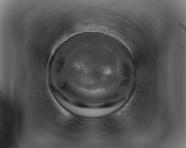 X0000097781525200803071338