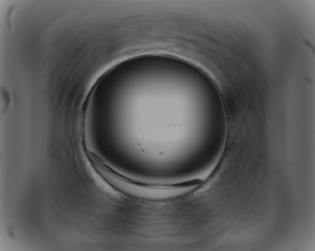 X0000097781526200803071338
