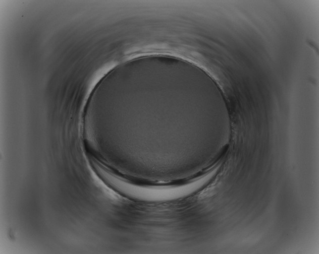 X0000097781527200803071338