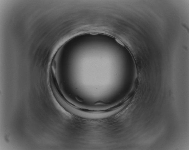 X0000097781528200803071338