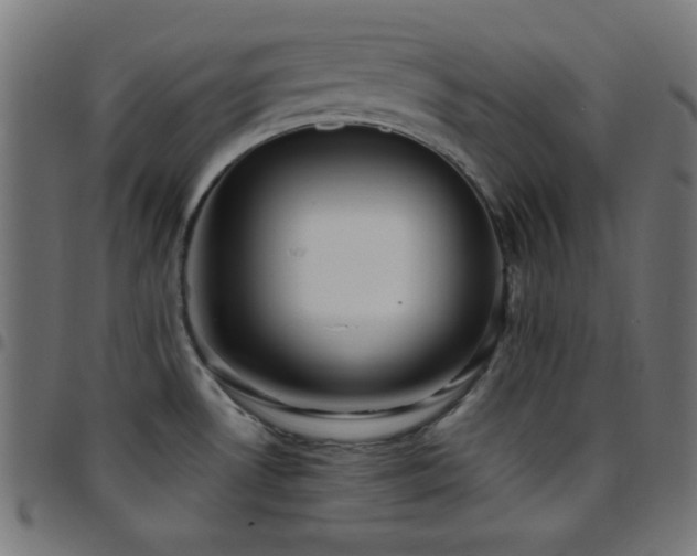 X0000097781530200803071338