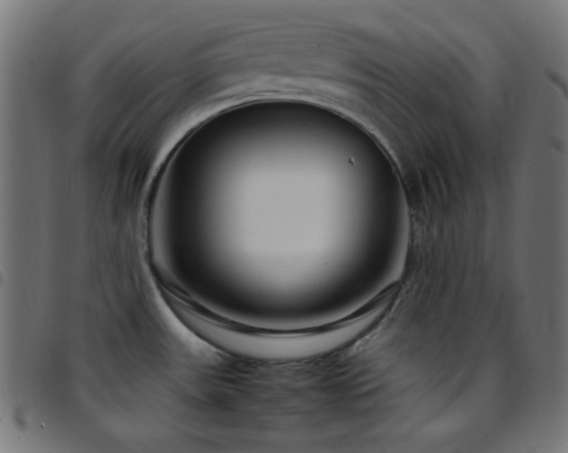 X0000097781531200803071338