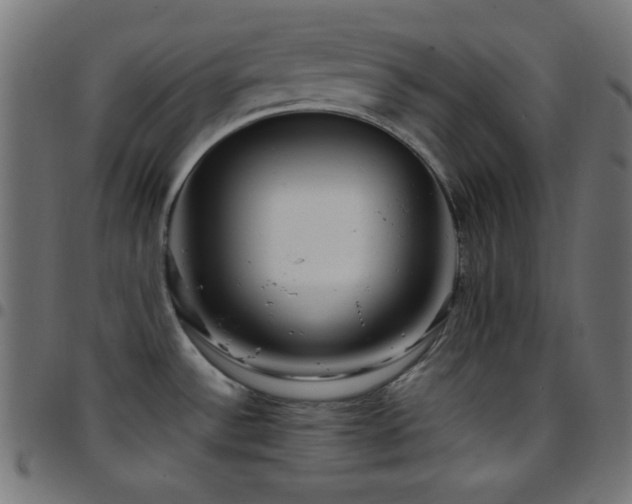 X0000097781532200803071338