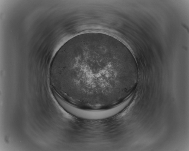 X0000097781533200803071338