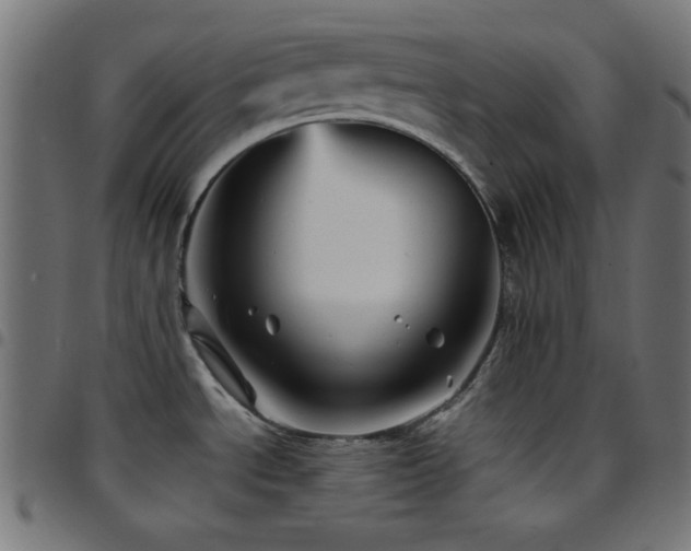 X0000097781534200803071338
