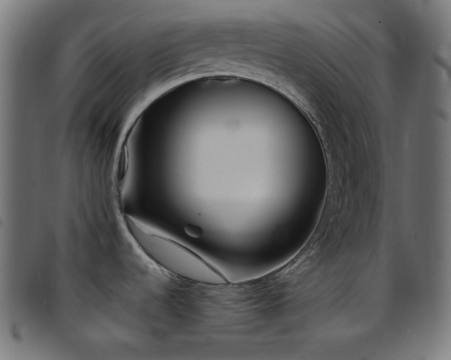 X0000097781536200803071338