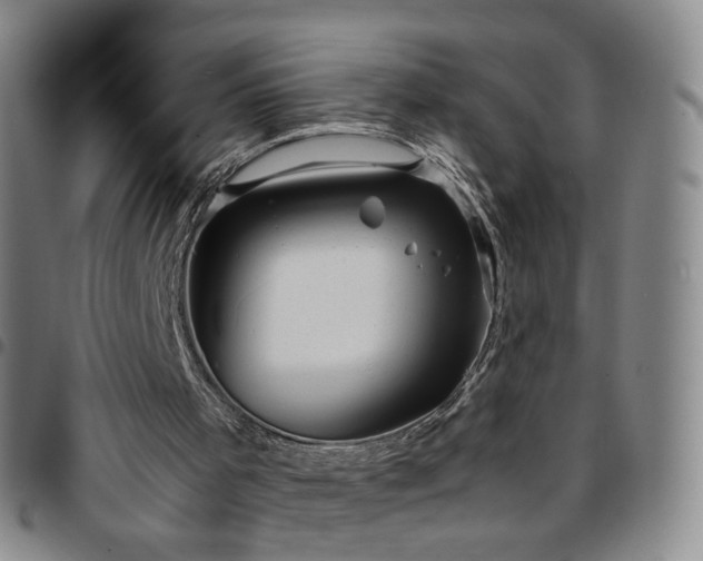 X0000097780001200803141817