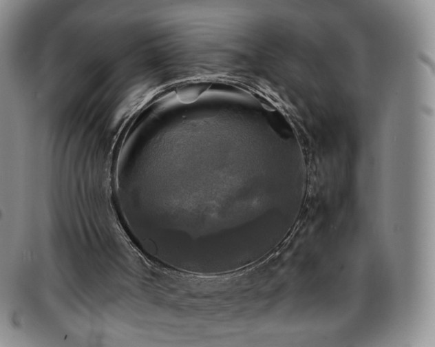 X0000097780002200803141817