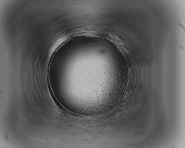 X0000097780003200803141817