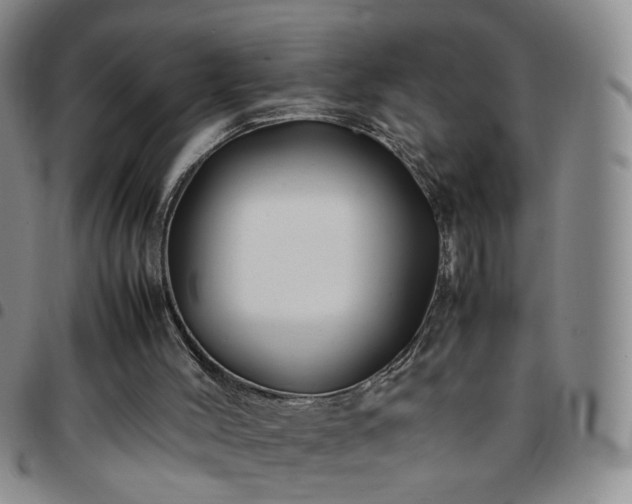 X0000097780004200803141817