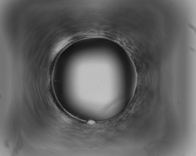 X0000097780005200803141817