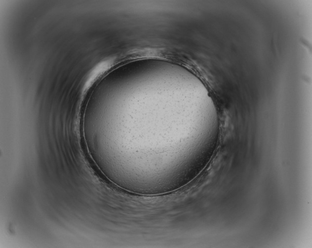 X0000097780006200803141817