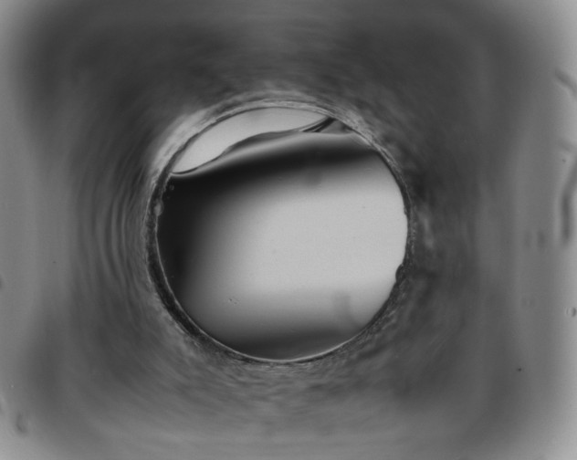 X0000097780007200803141817