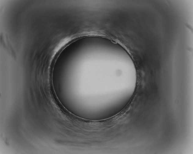 X0000097780008200803141817