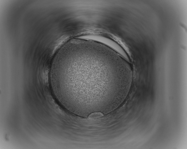 X0000097780010200803141817