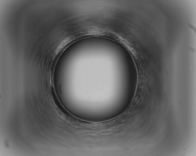 X0000097780011200803141817