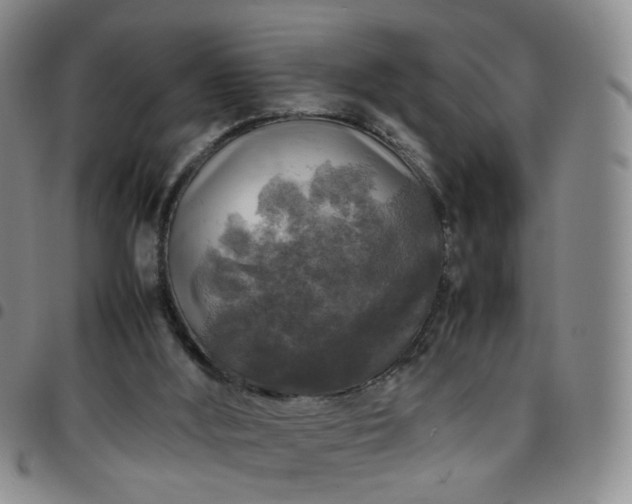 X0000097780012200803141817