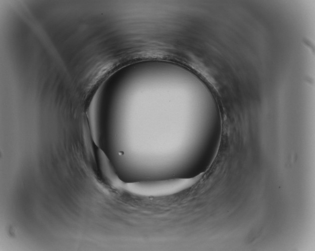 X0000097780013200803141817