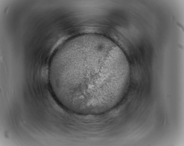 X0000097780016200803141817