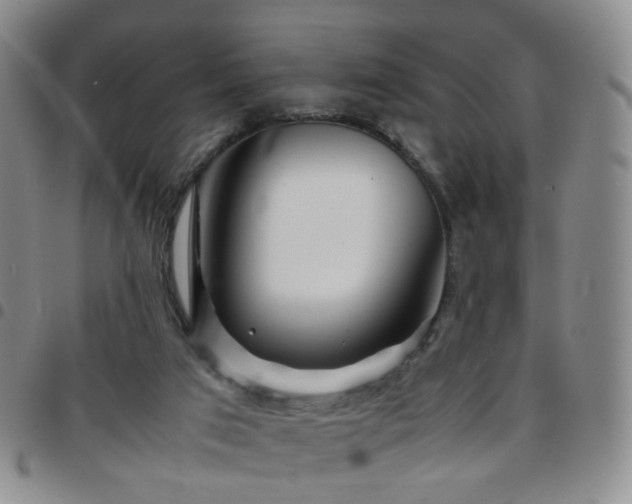 X0000097780017200803141817