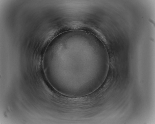 X0000097780018200803141817