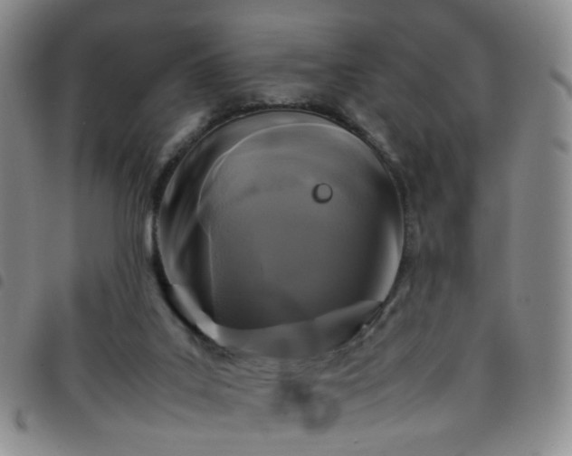 X0000097780019200803141817