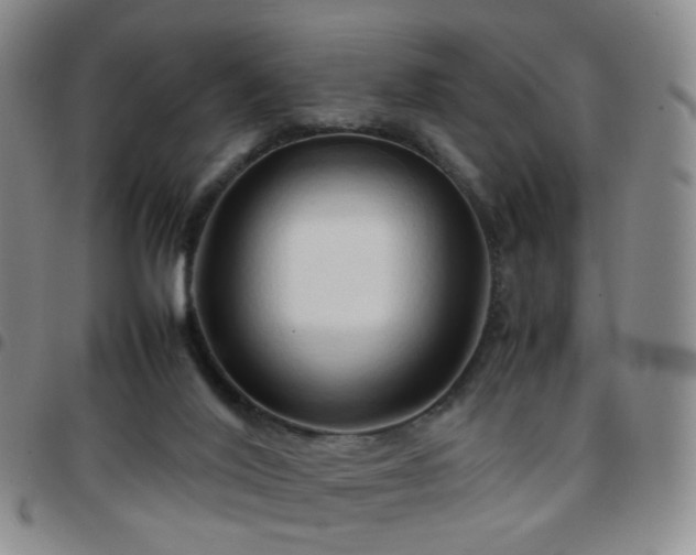 X0000097780020200803141817