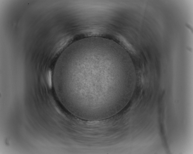 X0000097780022200803141817