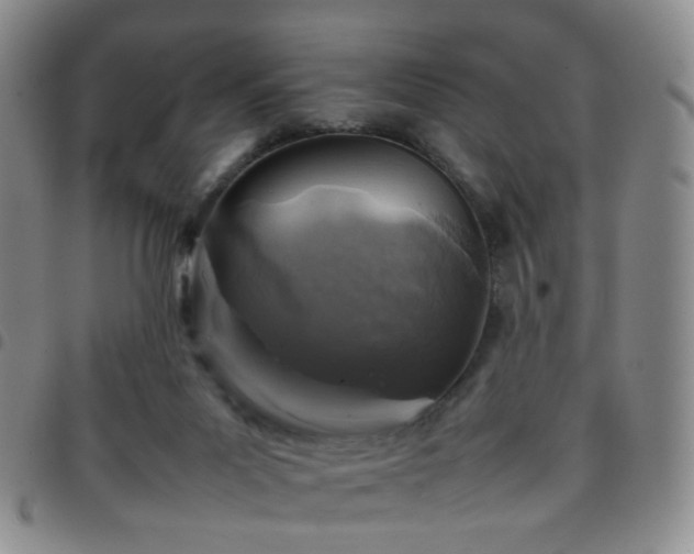 X0000097780023200803141817