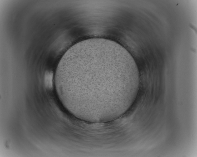 X0000097780024200803141817