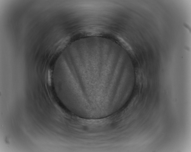 X0000097780026200803141817