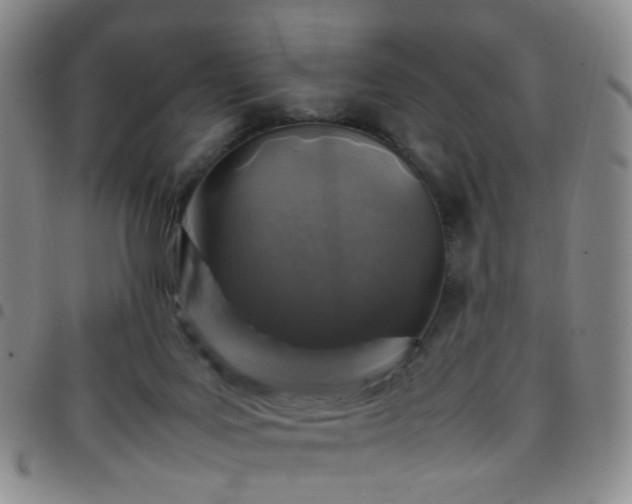 X0000097780027200803141817