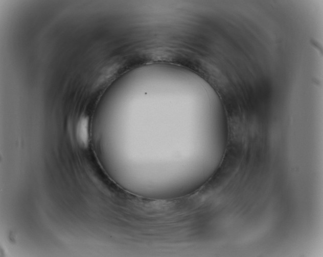 X0000097780028200803141817