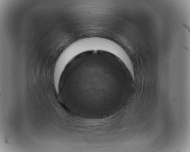 X0000097780031200803141817