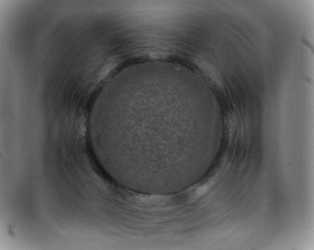 X0000097780032200803141817