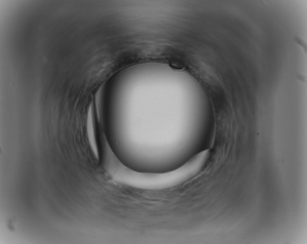 X0000097780033200803141817