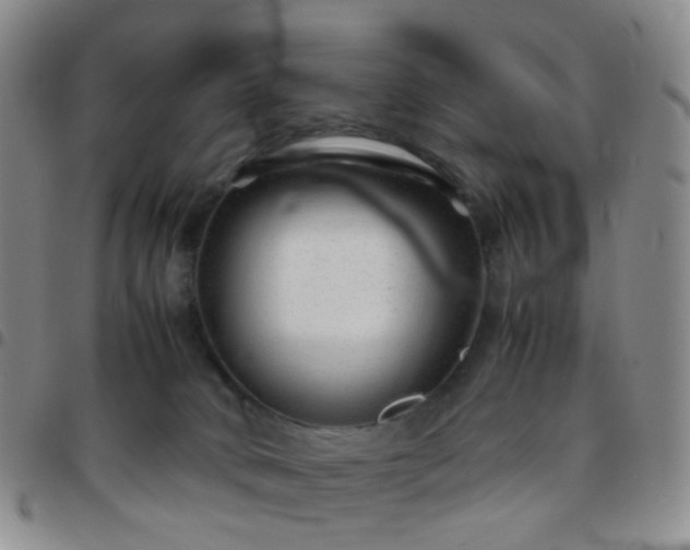 X0000097780034200803141817