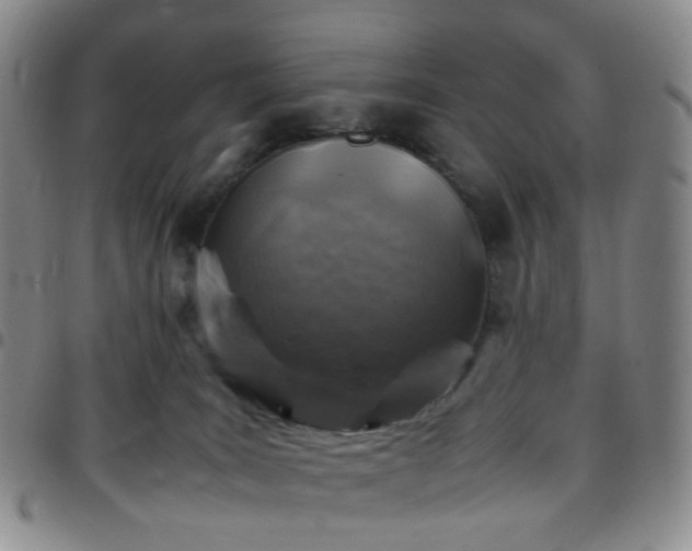 X0000097780035200803141817