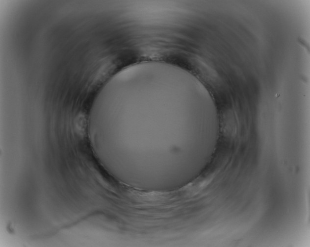 X0000097780036200803141817