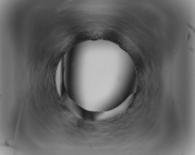 X0000097780037200803141817