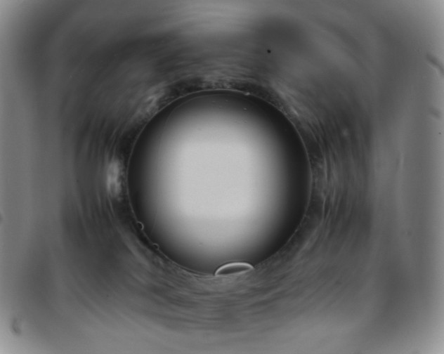 X0000097780038200803141817