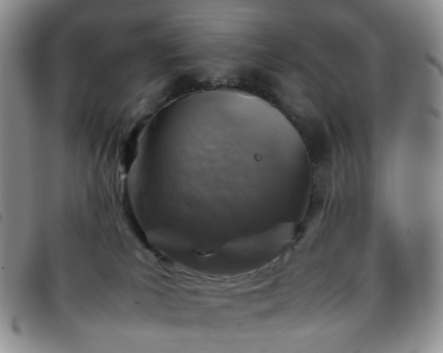 X0000097780039200803141817