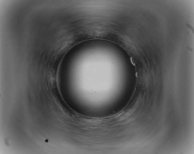 X0000097780040200803141817