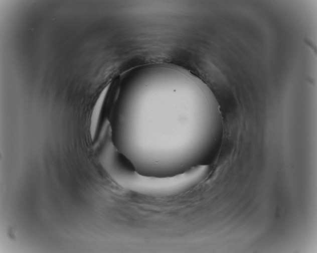 X0000097780041200803141817