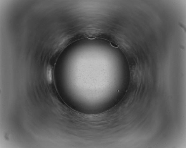 X0000097780042200803141817