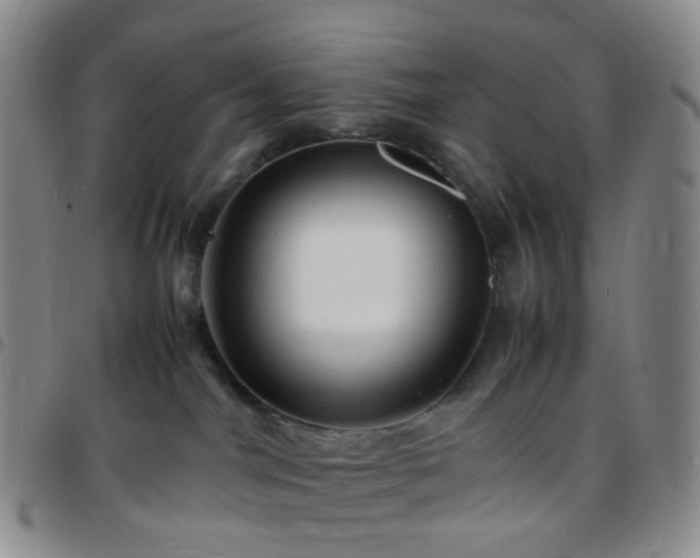 X0000097780044200803141817