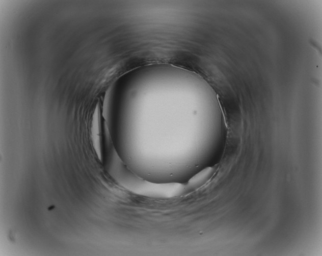 X0000097780045200803141817