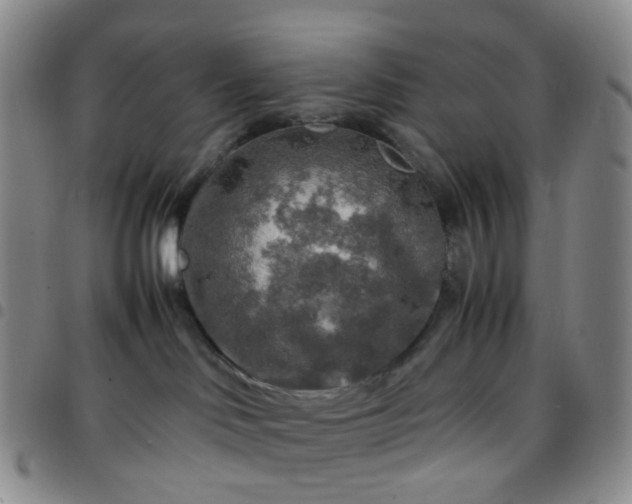 X0000097780046200803141817